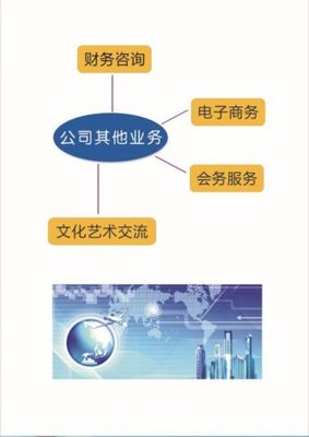 上海光謙企業(yè)管理咨詢 專業(yè)財(cái)務(wù)咨詢，賦能企業(yè)穩(wěn)健發(fā)展